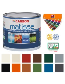 Smalto all'acqua Vernice Ferro Legno Muri Plastica Inodore HACCP Carson Matisse