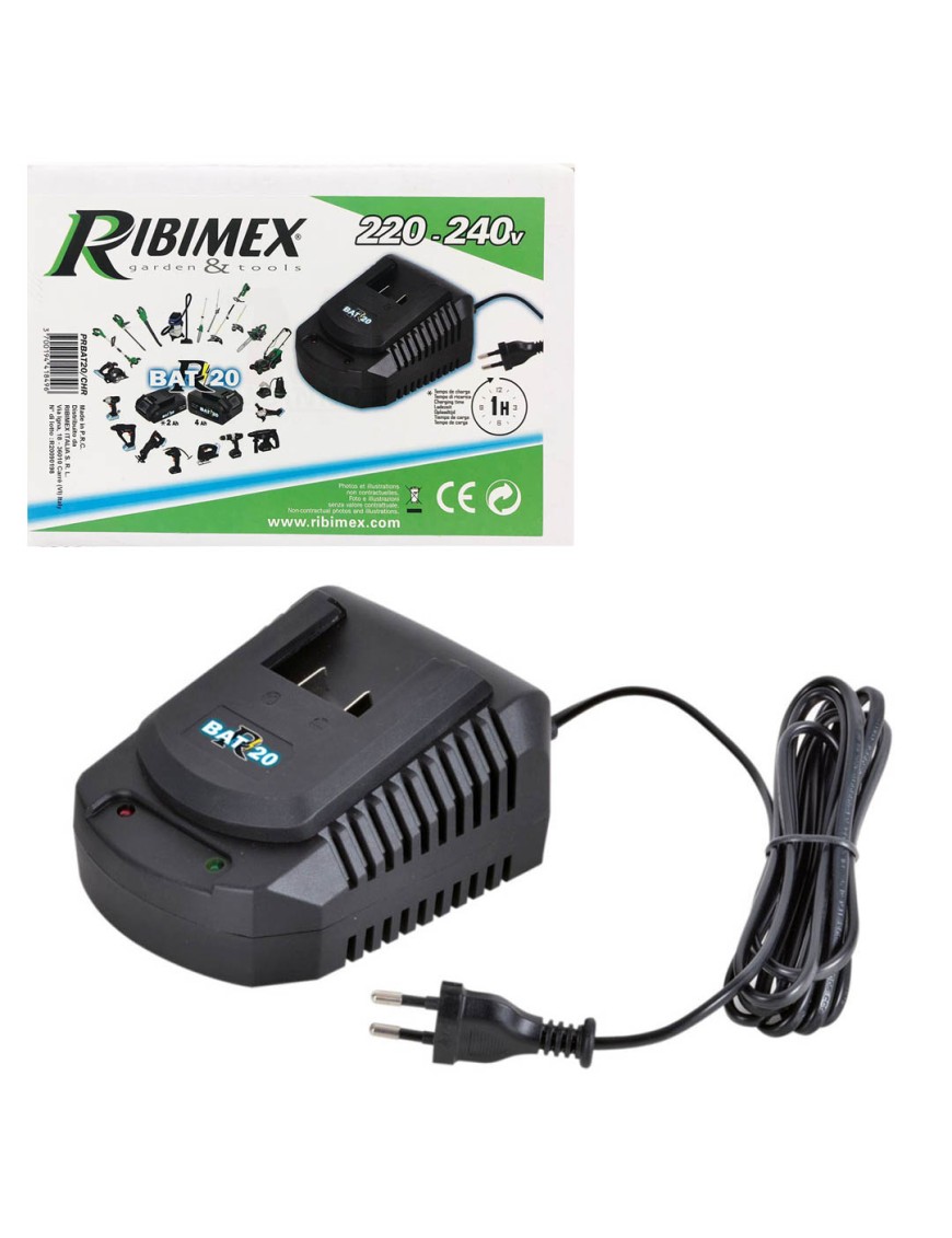 Caricabatterie rapido 20V Ribimex carica batterie caricabatteria