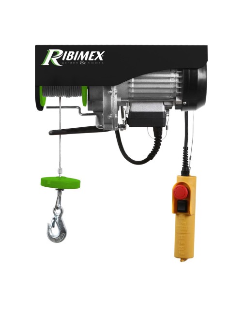 Paranco Montacarichi Elettrico Argano 125 250 Kg Elevatore 500 W 18 MT Ribimex PE125/250C/1