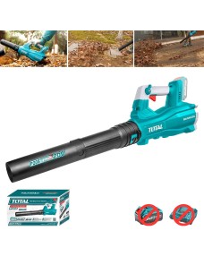 Soffiatore a batteria 20 V...