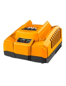 Caricabatterie rapido 20 V...