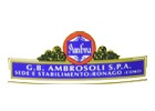 Ambrosoli